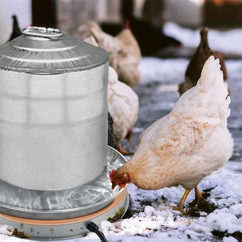 Tavuk su ısıtıcı Taban Metal Kümes Hayvanları su ısıtıcı Taban 30W 120V Su Geçirmez Termostat İle Çiftlik Hayvan Malzemeleri AB / ABD Plug