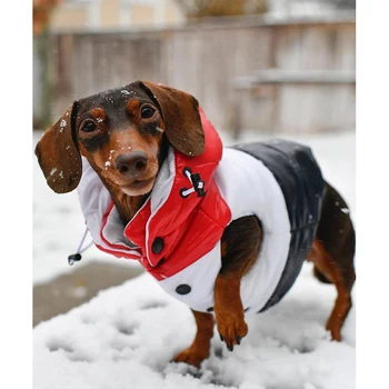 Küçük Köpekler için köpek Giysileri Yorkies için Kış Ceket Chihuahua için Fransız Bulldog Ceket Köpek Kıyafeti Pamuk Pet Giyim PC2012