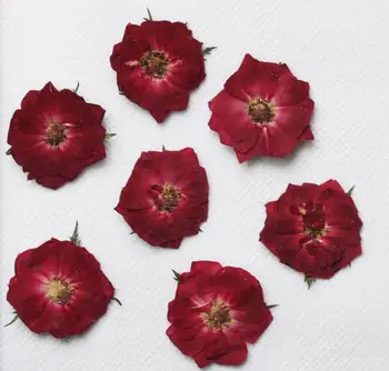 30 adet Preslenmiş Kurutulmuş Gül Çiçek Bitkiler Herbaryum Epoksi Reçine Takı Yapımı İçin Yer İmi telefon kılıfı Yüz Makyaj Tırnak Sanat DIY