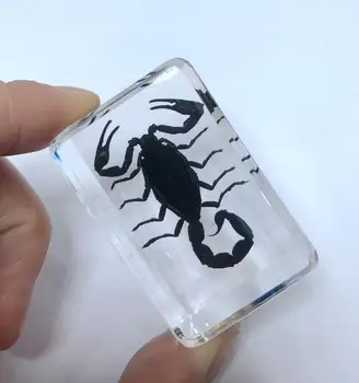 yqtdmy Kişilik Siyah Akrep Paperweight Moda Böcek akrep akıllı böcek Örneği