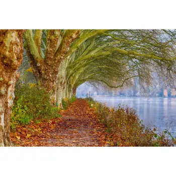 Sonbahar Riverside Düşmüş Yaprak Ağacı Manzara Fotoğrafçılığı Arka Plan Vinil Portre Fotoğraf Arka Planında Ev Fotoğraf Stüdyosu